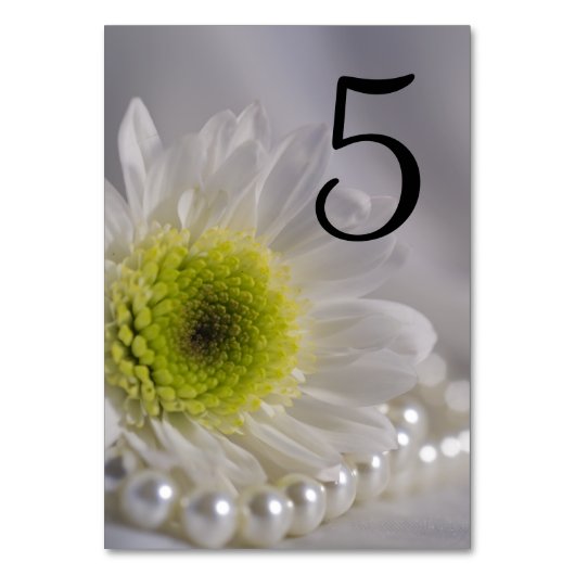 White Daisy and Pearls Wedding Table Numbers Kaart (Achterkant)