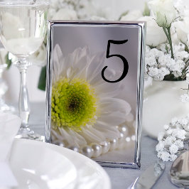 White Daisy and Pearls Wedding Table Numbers Kaart