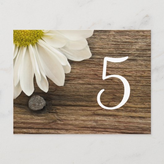 White Daisy Barn Wood Country WeddenTable Number Briefkaart (Voorkant)