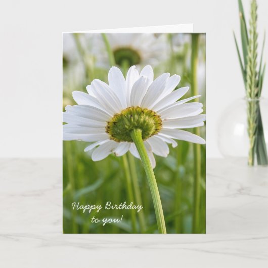 White daisy-birthday kaart (Voorkant)