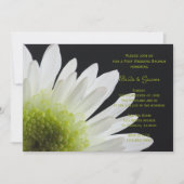 White Daisy Black Post Wedding Brunch Kaart (Voorkant)