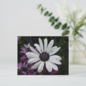 White Daisy Briefkaart (Staand voorkant)