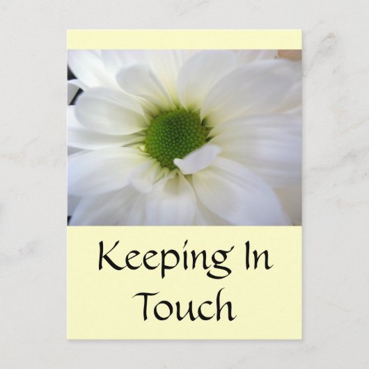 White Daisy Briefkaart (Voorkant)