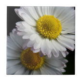 White Daisy Ceramic Tile Tegeltje (Voorkant)