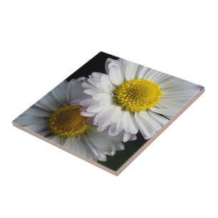 White Daisy Ceramic Tile Tegeltje