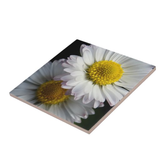 White Daisy Ceramic Tile Tegeltje (Zijkant)
