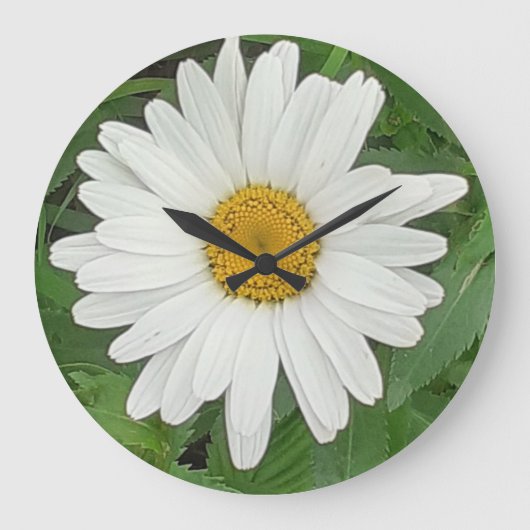 White Daisy Clock Grote Klok (Voorkant)