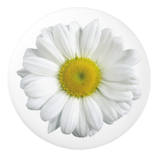 White Daisy Country keramische puin Keramische Knop (Voorkant)