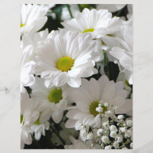 White Daisy en Baby Breath Scrapbook Paper
