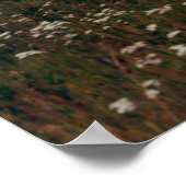 White Daisy en Paars Fireweed Mountains Foto Poster (Hoek)