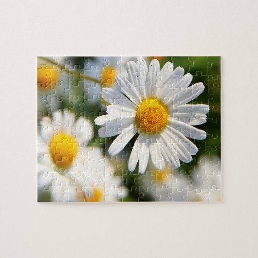 White Daisy Floral Legpuzzel (Horizontaal)