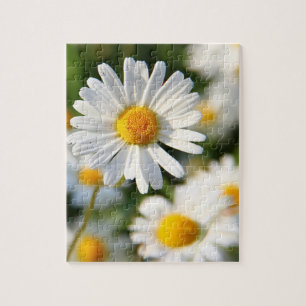 White Daisy Floral Legpuzzel
