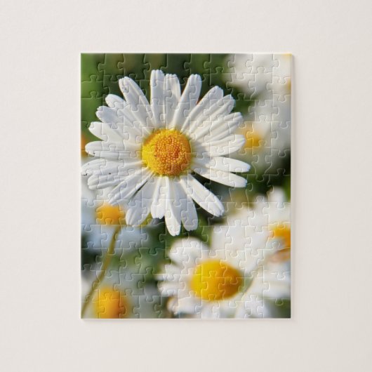 White Daisy Floral Legpuzzel (Verticaal)