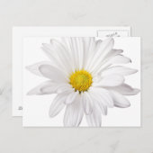 White Daisy Flower Background Gepersonaliseerd Dai Briefkaart (Voorkant / Achterkant)
