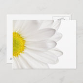 White Daisy Flower Background Gepersonaliseerd Dai Briefkaart (Voorkant / Achterkant)