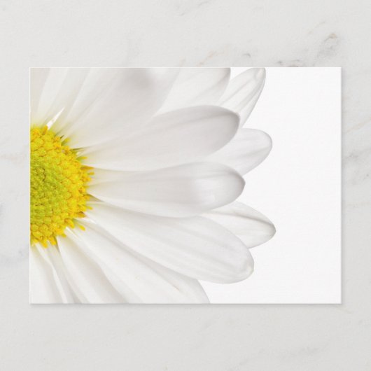 White Daisy Flower Background Gepersonaliseerd Dai Briefkaart (Voorkant)