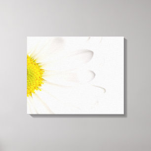 White Daisy Flower Background Gepersonaliseerd Dai Canvas Afdruk