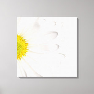 White Daisy Flower Background Gepersonaliseerd Dai Canvas Afdruk