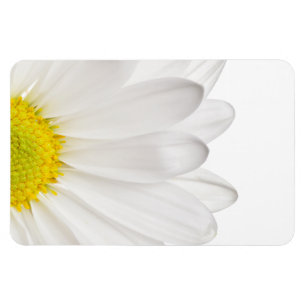 White Daisy Flower Background Gepersonaliseerd Dai Magneet