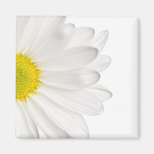 White Daisy Flower Background Gepersonaliseerd Dai Magneet