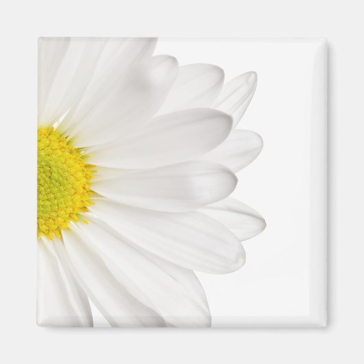 White Daisy Flower Background Gepersonaliseerd Dai Magneet (Voorkant)