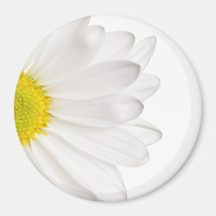 White Daisy Flower Background Gepersonaliseerd Dai Magneet