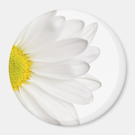 White Daisy Flower Background Gepersonaliseerd Dai Magneet (Voorkant)
