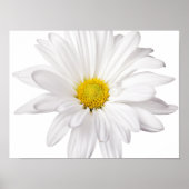 White Daisy Flower Background Gepersonaliseerd Dai Poster (Voorkant)
