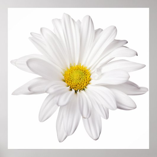 White Daisy Flower Background Gepersonaliseerd Dai Poster (Voorkant)