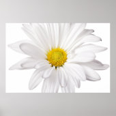 White Daisy Flower Background Gepersonaliseerd Dai Poster (Voorkant)