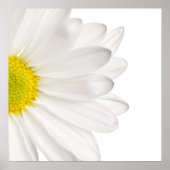 White Daisy Flower Background Gepersonaliseerd Dai Poster (Voorkant)