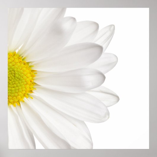 White Daisy Flower Background Gepersonaliseerd Dai Poster (Voorkant)