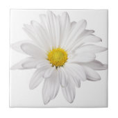 White Daisy Flower Background Gepersonaliseerd Dai Tegeltje (Voorkant)