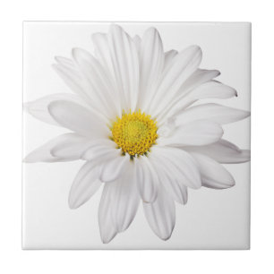 White Daisy Flower Background Gepersonaliseerd Dai Tegeltje