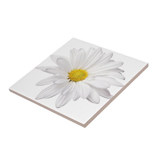 White Daisy Flower Background Gepersonaliseerd Dai Tegeltje (Zijkant)