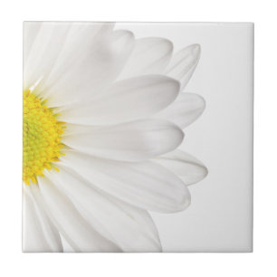 White Daisy Flower Background Gepersonaliseerd Dai Tegeltje
