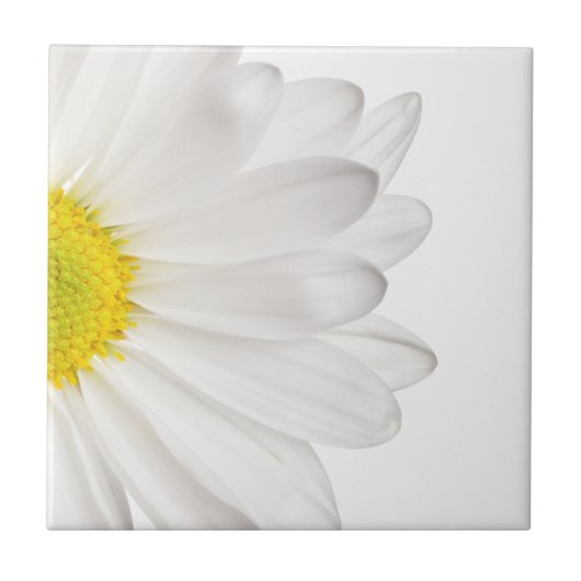 White Daisy Flower Background Gepersonaliseerd Dai Tegeltje (Voorkant)