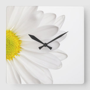 White Daisy Flower Background Gepersonaliseerd Dai Vierkante Klok