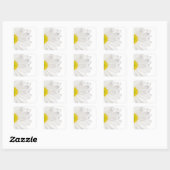 White Daisy Flower Background Gepersonaliseerd Dai Vierkante Sticker (Vel)