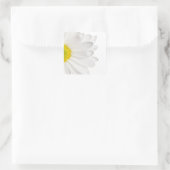 White Daisy Flower Background Gepersonaliseerd Dai Vierkante Sticker (Tas)