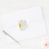 White Daisy Flower Background Gepersonaliseerd Dai Vierkante Sticker (Envelop)
