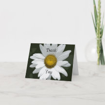 White Daisy Flower Bedankt