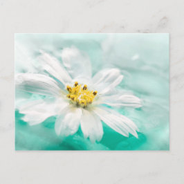 White Daisy Flower Blue Water Pond Aqua Turquoise Briefkaart