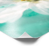 White Daisy Flower Blue Water Pond Aqua Turquoise Foto Afdruk (Hoek)