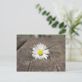 White Daisy Flower Briefkaart (Staand voorkant)