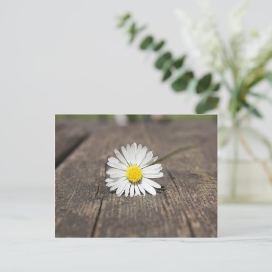 White Daisy Flower Briefkaart (Staand voorkant)
