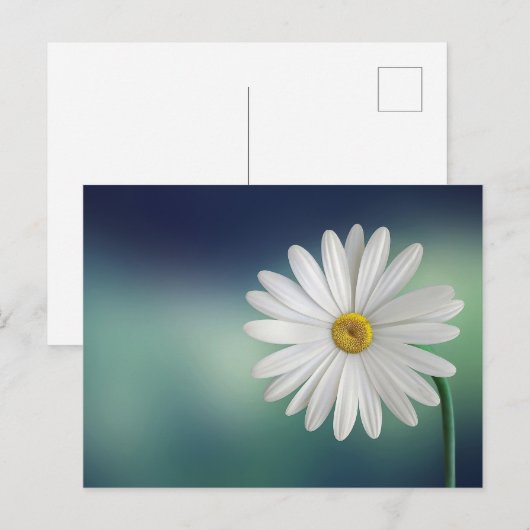 White Daisy Flower Briefkaart (Voorkant / Achterkant)