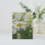 White Daisy Flower Briefkaart (Staand voorkant)