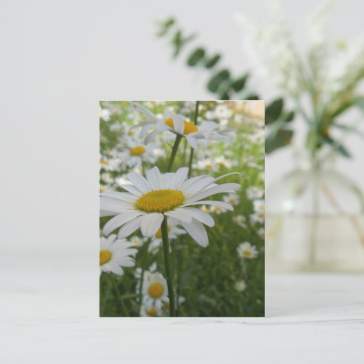 White Daisy Flower Briefkaart (Staand voorkant)