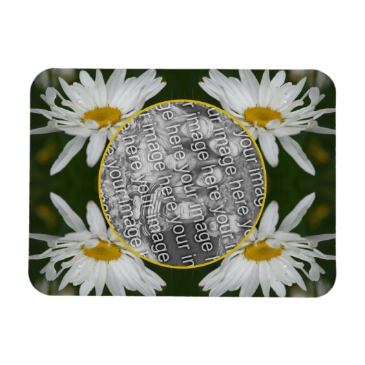White Daisy Flower Lijst Voeg je eigen foto toe Magneet (Horizontaal)